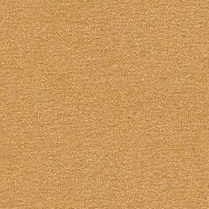 Ковролин Radici Nexus Biscotto 2407 фото 1 | FLOORDEALER